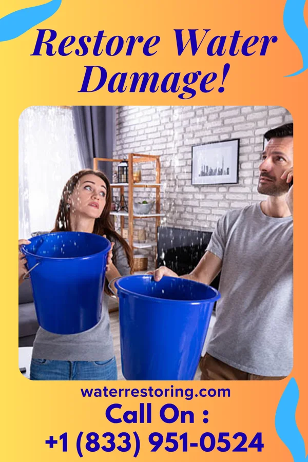 water restoration Premier Sewage Cleanup & Sons Follett